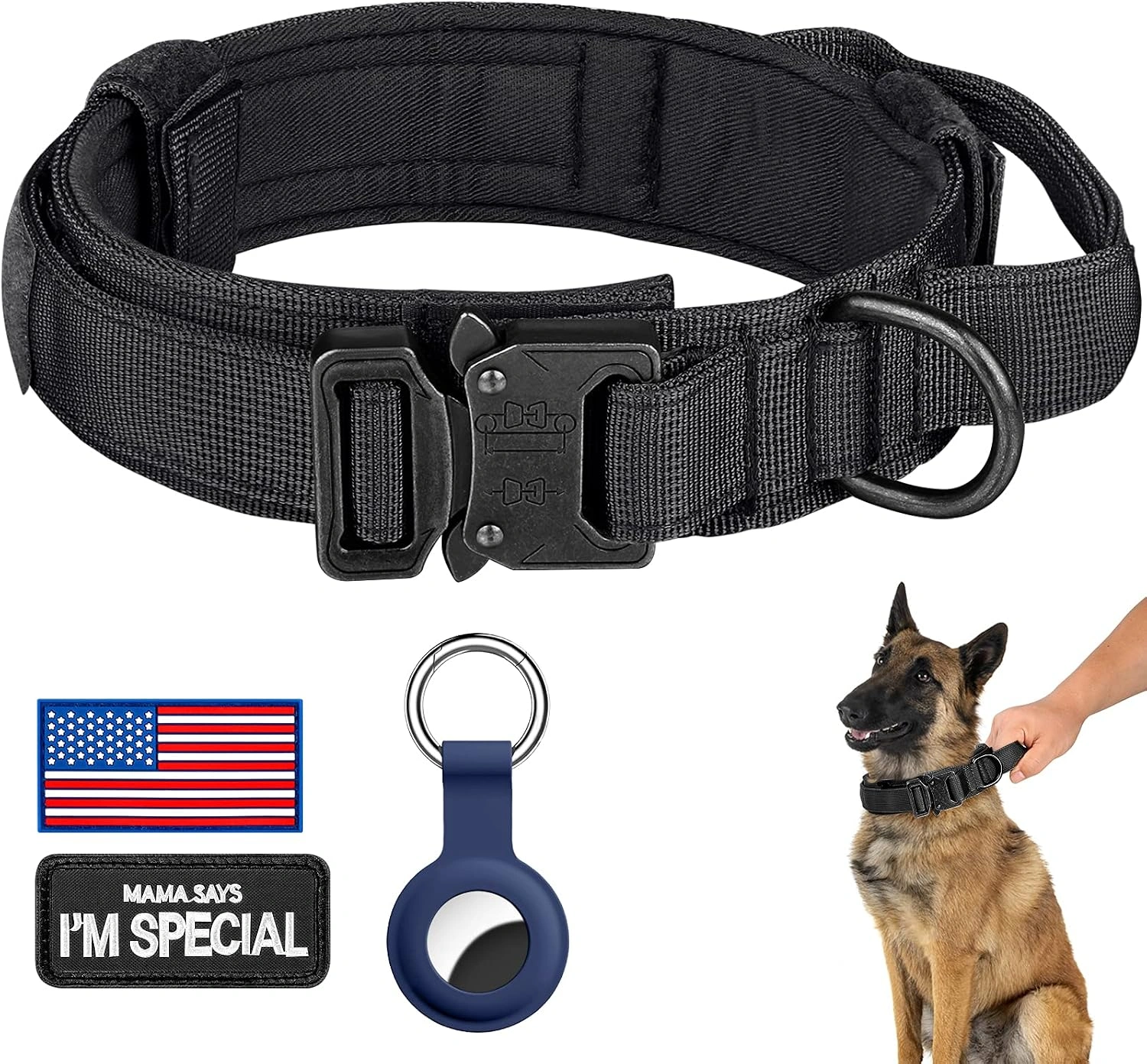 best dog collars for large dogs