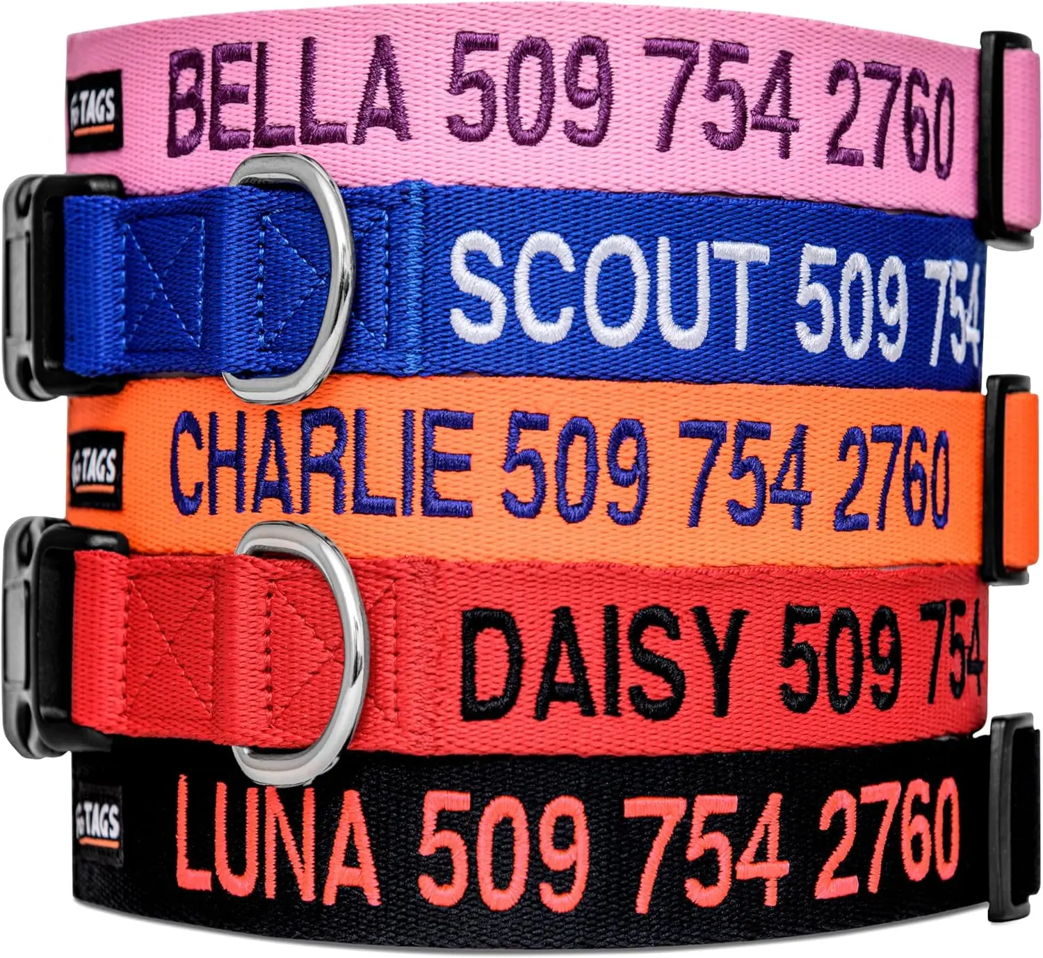 best dog collars for large dogs