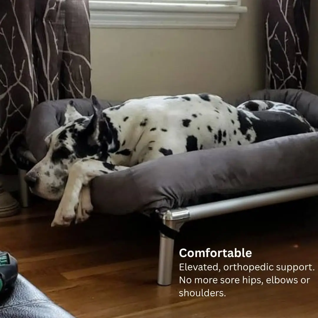 Kuranda Elevated Dog Bed Large