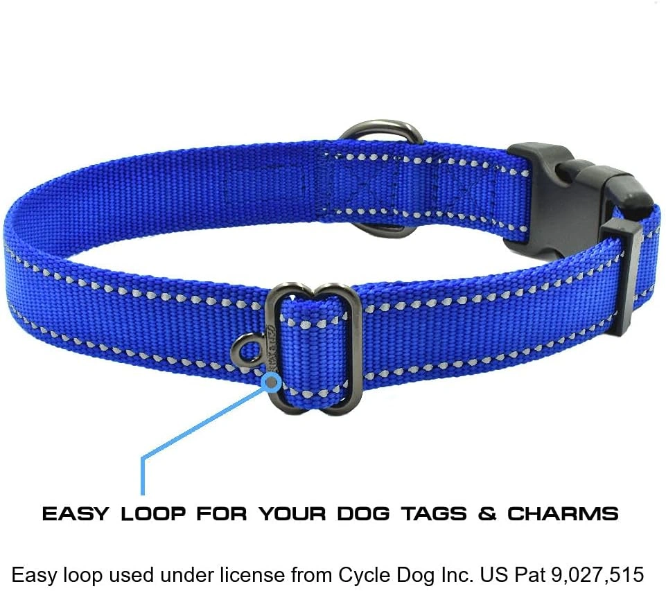 best dog collars for large dogs